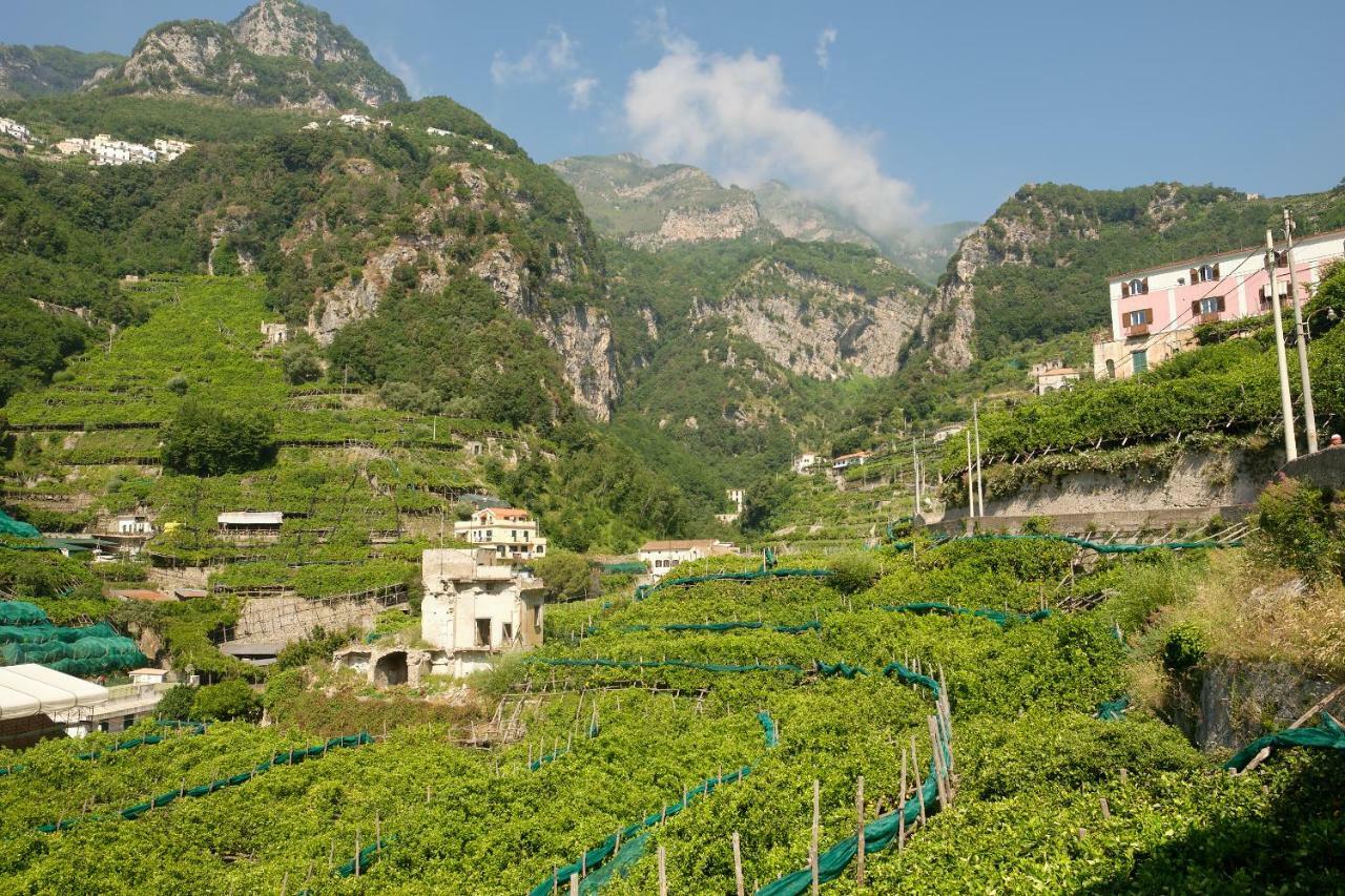 Villa Pricitella Amalfi Buitenkant foto